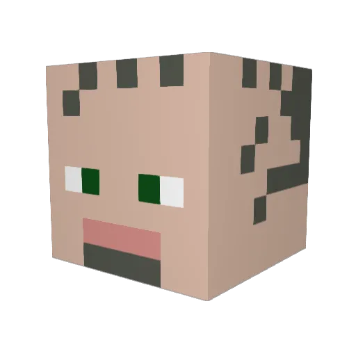 Pacii_ Minecraft avatar head, 3D render