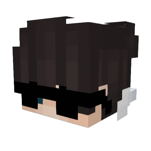 Paciiik Minecraft avatar head, 3D render