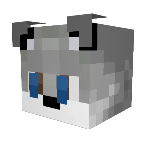 PackLEADER77 Minecraft avatar head, 3D render