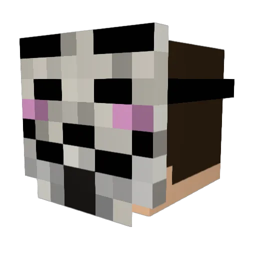 PackaPunchz Minecraft avatar head, 3D render