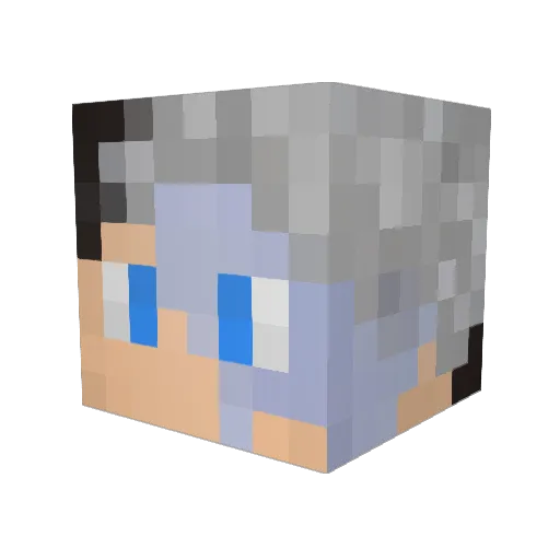 Packed_Icee Minecraft avatar head, 3D render