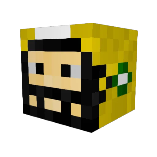 Packerfan504 Minecraft avatar head, 3D render