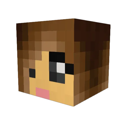 Packers1234 Minecraft avatar head, 3D render