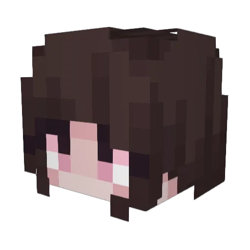 Packet351 Minecraft avatar head, 3D render