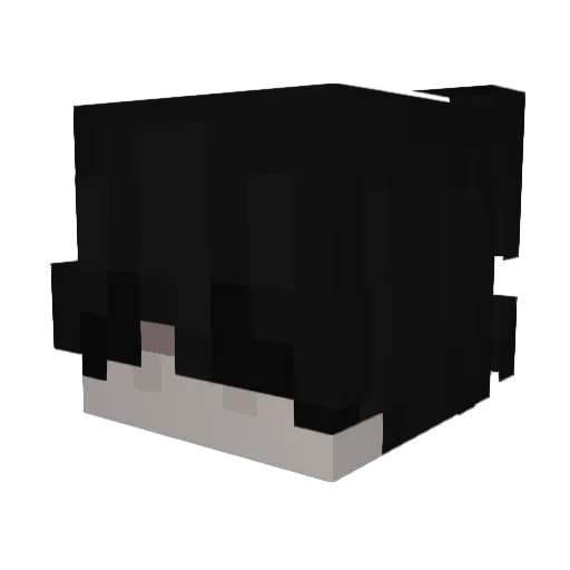 PacketGhost Minecraft avatar head, 3D render