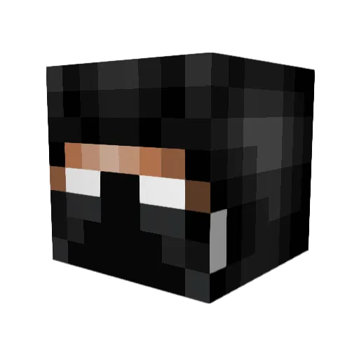 Pacman2007 Minecraft avatar head, 3D render