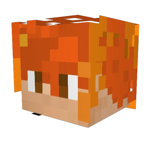 Paco1007 Minecraft avatar head, 3D render