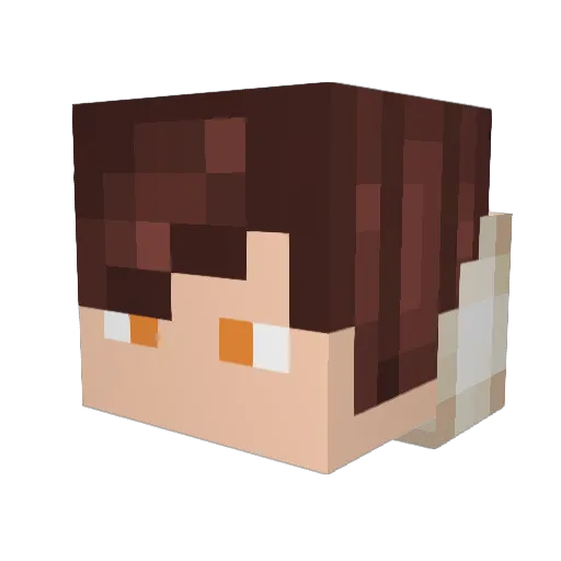PacoLb Minecraft avatar head, 3D render