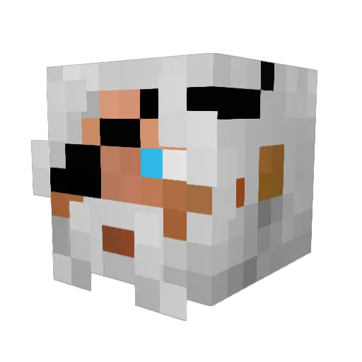 PacoProdigy Minecraft avatar head, 3D render