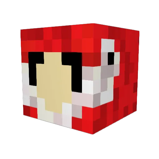 Paco____ Minecraft avatar head, 3D render