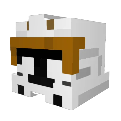Pacoce Minecraft avatar head, 3D render