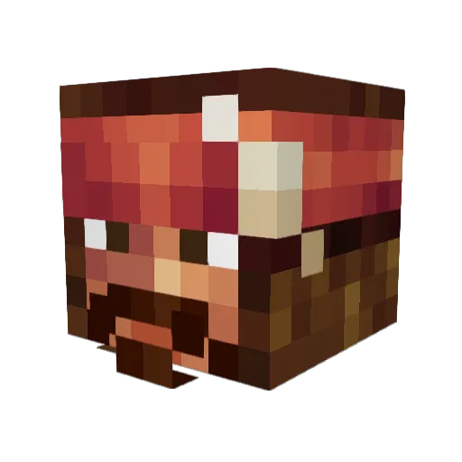 Pacorex1111 Minecraft avatar head, 3D render