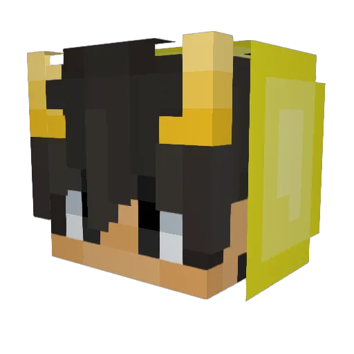 Paculi12 Minecraft avatar head, 3D render