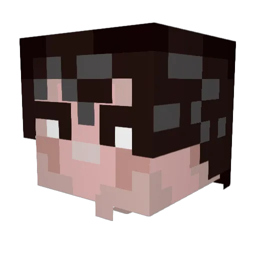 Paczter1 Minecraft avatar head, 3D render