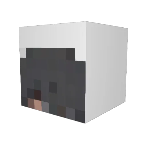PadPed Minecraft avatar head, 3D render