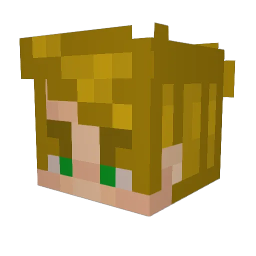 Padamm Minecraft avatar head, 3D render