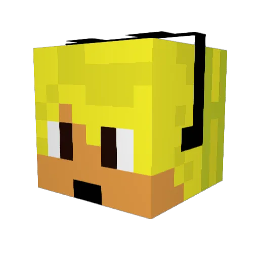 Padawan03 Minecraft avatar head, 3D render
