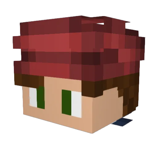 PadawanDom Minecraft avatar head, 3D render