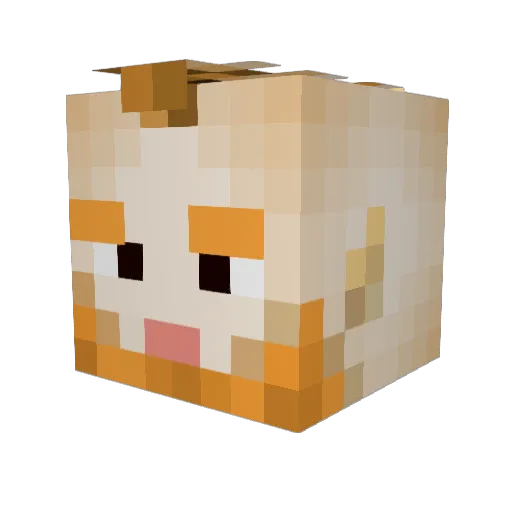 PaddaWhack Minecraft avatar head, 3D render