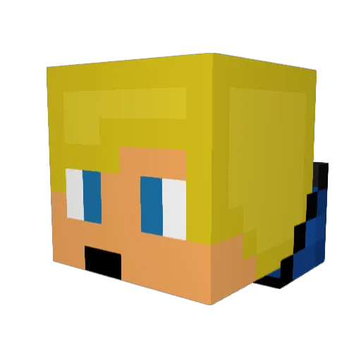 PaddelP2010 Minecraft avatar head, 3D render