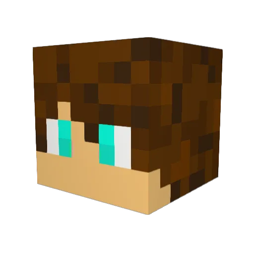 Paddiman Minecraft avatar head, 3D render