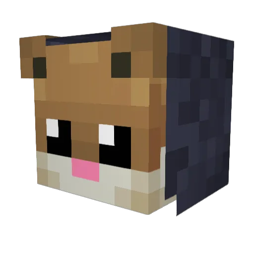 Paddington_Brown Minecraft avatar head, 3D render