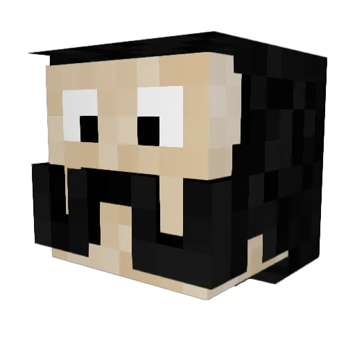 Paddingtoon Minecraft avatar head, 3D render