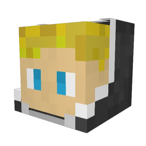 PaddyP1069 Minecraft avatar head, 3D render