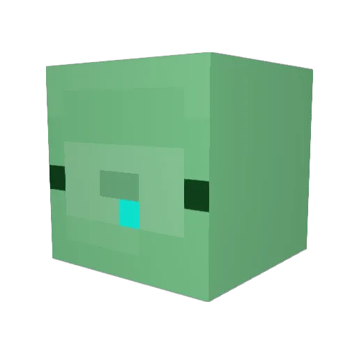 PaddyTheBaddy09 Minecraft avatar head, 3D render
