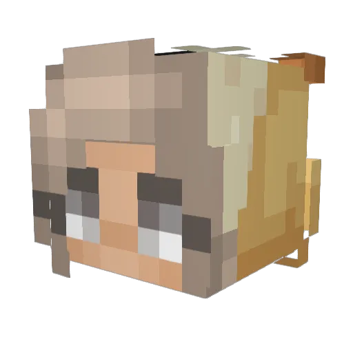 PaddyVyan Minecraft avatar head, 3D render
