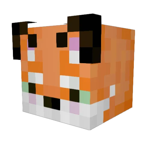 Paddy_2007 Minecraft avatar head, 3D render