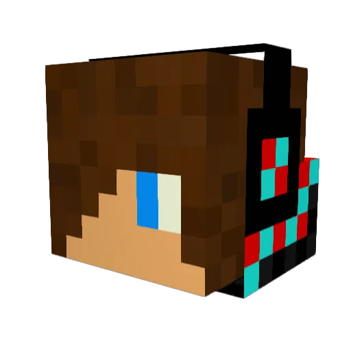 Paddynator Minecraft avatar head, 3D render