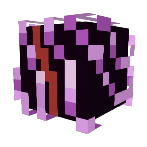 Paddywat3 Minecraft avatar head, 3D render