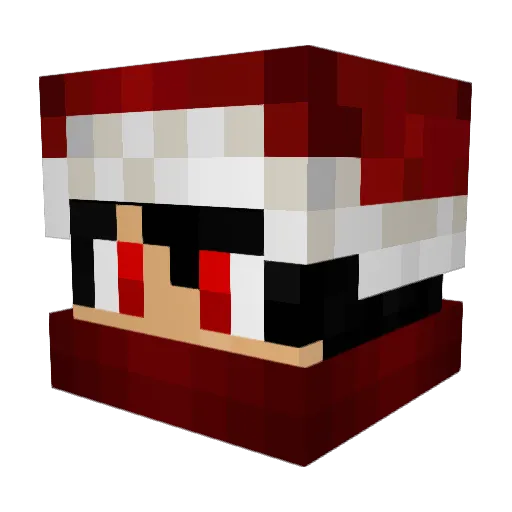 Pade_ Minecraft avatar head, 3D render