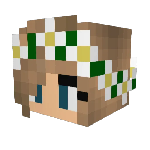 Padedade Minecraft avatar head, 3D render