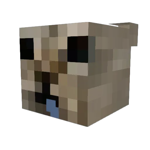 PadiQv Minecraft avatar head, 3D render