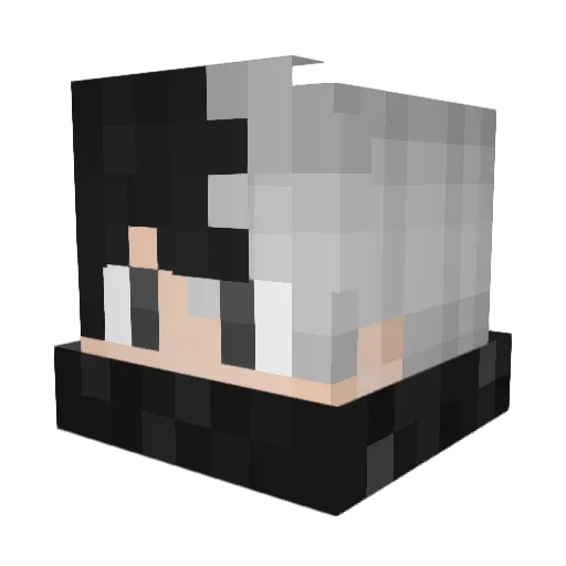 Padilha_1 Minecraft avatar head, 3D render