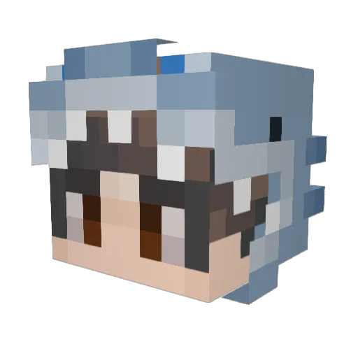 Padraig247 Minecraft avatar head, 3D render