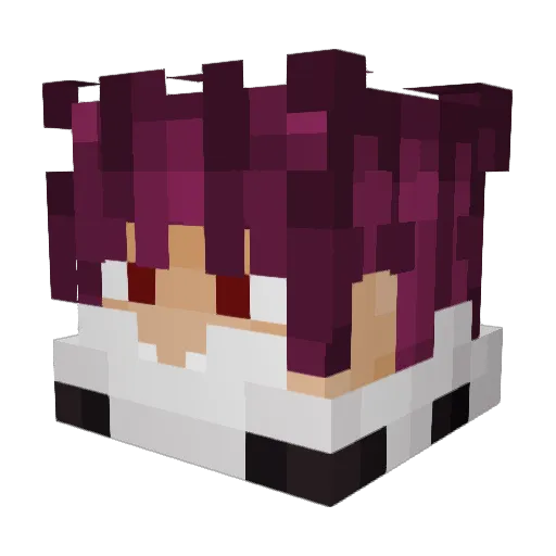 Padulix Minecraft avatar head, 3D render