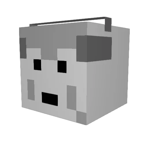Padwin Minecraft avatar head, 3D render