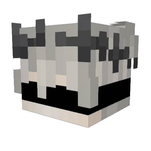 PaeroMC Minecraft avatar head, 3D render
