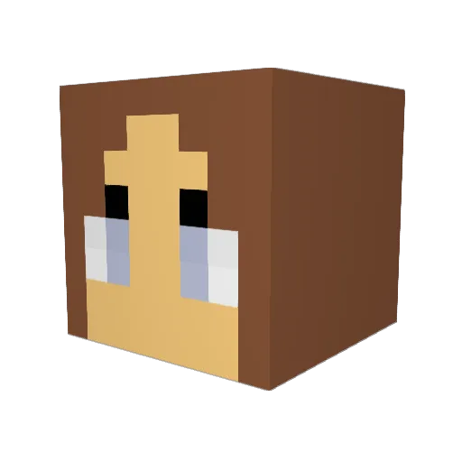 Paers20 Minecraft avatar head, 3D render