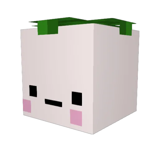 Paesoo Minecraft avatar head, 3D render