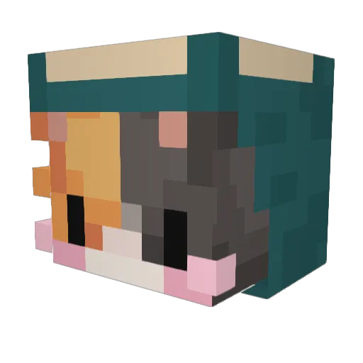 Paezibal Minecraft avatar head, 3D render