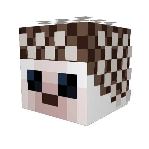 Pafawag_201E Minecraft avatar head, 3D render