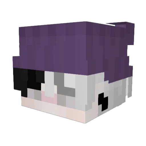 Pafnucy02 Minecraft avatar head, 3D render