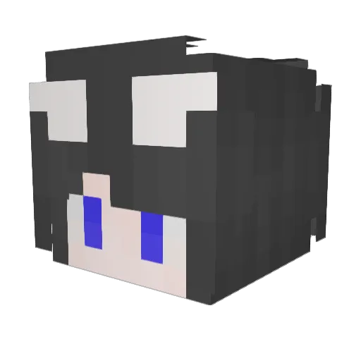 PagaAP Minecraft avatar head, 3D render