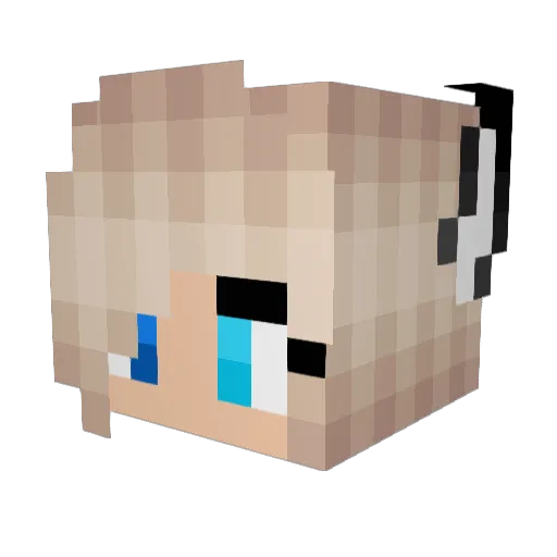 PagaMaga26 Minecraft avatar head, 3D render