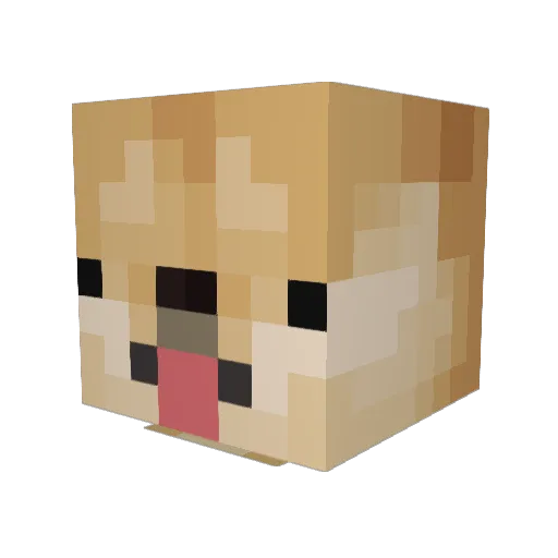 Pagacys Minecraft avatar head, 3D render