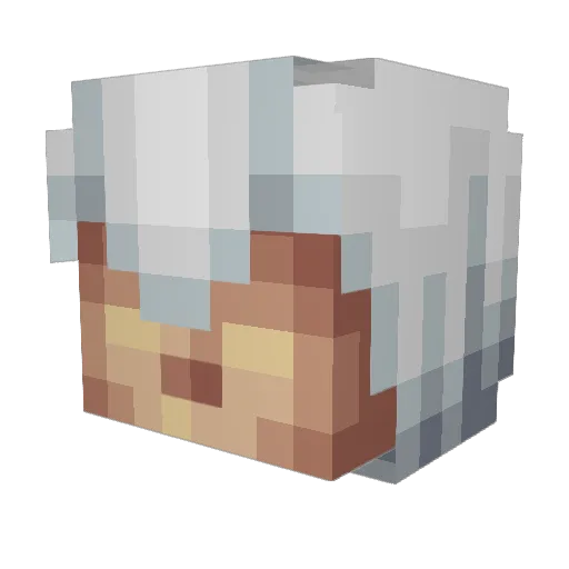 Paggius Minecraft avatar head, 3D render
